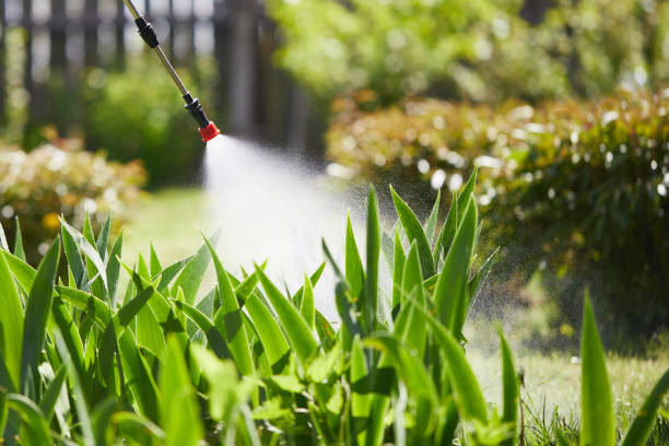 24/7 Emergency Mosquito Control experts in Bunnell, FL