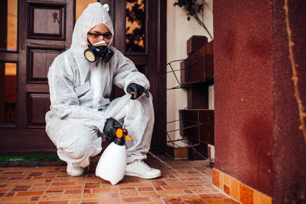 Reliable Mosquito Control contractor in Bunnell, FL by Show Me Pest Control